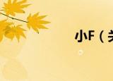 小F（关于小F介绍）