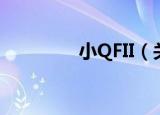 小QFII（关于小QFII介绍）