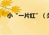 小“一片红”（关于小“一片红”介绍）