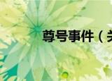 尊号事件（关于尊号事件介绍）