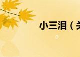 小三泪（关于小三泪介绍）