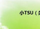小TSU（关于小TSU介绍）