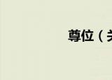 尊位（关于尊位介绍）