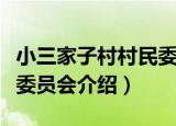 小三家子村村民委员会（关于小三家子村村民委员会介绍）
