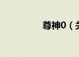 尊神0（关于尊神0介绍）