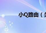 小Q路由（关于小Q路由介绍）