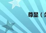 尊显（关于尊显介绍）