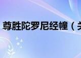 尊胜陀罗尼经幢（关于尊胜陀罗尼经幢介绍）