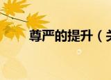 尊严的提升（关于尊严的提升介绍）