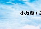 小万湖（关于小万湖介绍）