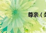 尊亲（关于尊亲介绍）