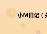 小M日记（关于小M日记介绍）