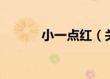 小一点红（关于小一点红介绍）