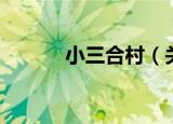小三合村（关于小三合村介绍）