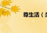尊生活（关于尊生活介绍）