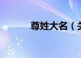 尊姓大名（关于尊姓大名介绍）