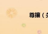 尊攘（关于尊攘介绍）