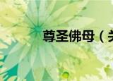 尊圣佛母（关于尊圣佛母介绍）