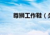 尊狮工作鞋（关于尊狮工作鞋介绍）