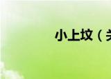小上坟（关于小上坟介绍）