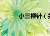 小三棵针（关于小三棵针介绍）