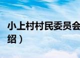 小上村村民委员会（关于小上村村民委员会介绍）