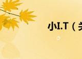 小I.T（关于小I.T介绍）