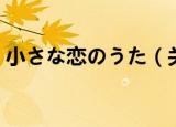 小さな恋のうた（关于小さな恋のうた介绍）