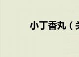 小丁香丸（关于小丁香丸介绍）