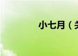 小七月（关于小七月介绍）
