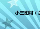 小三阳村（关于小三阳村介绍）