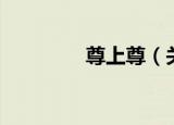 尊上尊（关于尊上尊介绍）