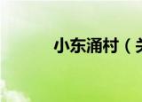 小东涌村（关于小东涌村介绍）
