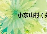 小东山村（关于小东山村介绍）