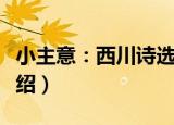小主意：西川诗选（关于小主意：西川诗选介绍）
