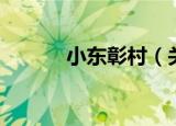 小东彰村（关于小东彰村介绍）