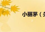 小丽茅（关于小丽茅介绍）