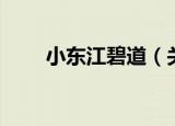 小东江碧道（关于小东江碧道介绍）
