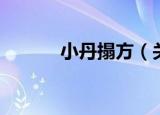 小丹搨方（关于小丹搨方介绍）
