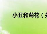 小丑和菊花（关于小丑和菊花介绍）