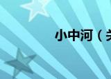 小中河（关于小中河介绍）