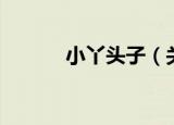 小丫头子（关于小丫头子介绍）