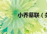 小乔墓联（关于小乔墓联介绍）