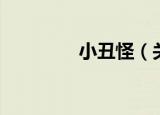 小丑怪（关于小丑怪介绍）