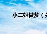 小二姐做梦（关于小二姐做梦介绍）