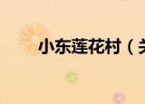 小东莲花村（关于小东莲花村介绍）