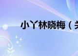 小丫林晓梅（关于小丫林晓梅介绍）