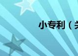 小专利（关于小专利介绍）