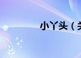 小丫头（关于小丫头介绍）