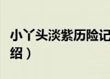 小丫头淡紫历险记（关于小丫头淡紫历险记介绍）